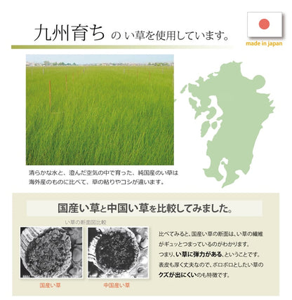 純国産 い草玄関マット 『Fランクス』 約60×90cm（裏:ウレタン） 【メーカー直送商品】☆