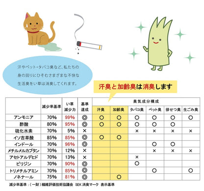 純国産 い草玄関マット 『Fランクス』 約60×90cm（裏:ウレタン） 【メーカー直送商品】☆