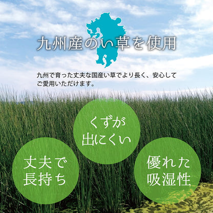 上敷き ゴザ 敷詰 カーペット い草 自然素材 日本製 国産 消臭 抗菌防臭 麻の葉 レトロ 和 江戸間3畳 約174×261cm 【メーカー直送商品】☆