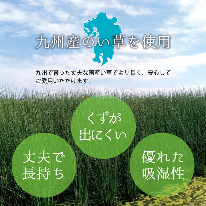 上敷き ゴザ 敷詰 カーペット い草 自然素材 日本製 国産 消臭 抗菌防臭 麻の葉 レトロ 和 江戸間6畳 約261×352cm 【メーカー直送商品】☆