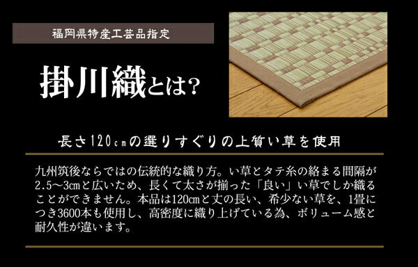 純国産 掛川織 い草カーペット 『奥丹後』 江戸間6畳(約261×352cm） 【メーカー直送商品】☆