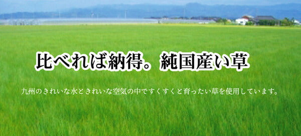 純国産 掛川織 い草カーペット 『奥丹後』 江戸間6畳(約261×352cm） 【メーカー直送商品】☆