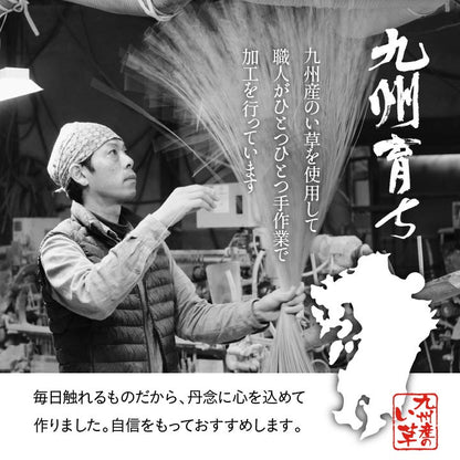 純国産 い草 上敷き カーペット 格子柄 江戸間6畳(約261×352cm） 【メーカー直送商品】☆