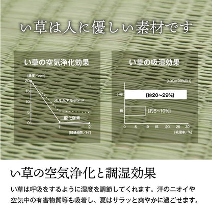 純国産 い草 上敷き カーペット 格子柄 江戸間3畳(約174×261cm） 【メーカー直送商品】☆