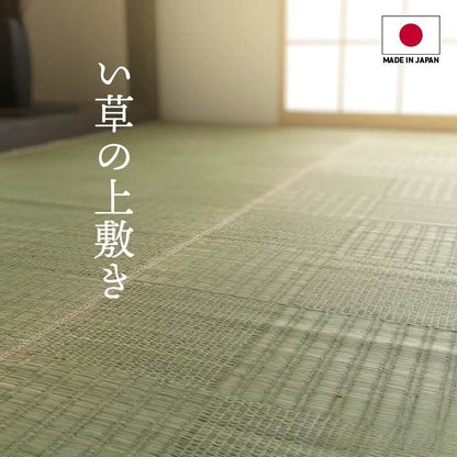 純国産 い草カーペット 格子柄【メーカー直送商品】