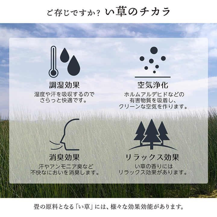 敷物 花ござ 国産 純国産 日本製 い草 掛川織 モダン 抗菌防臭 自然素材 江戸間1畳 約87×174cm 【メーカー直送商品】☆