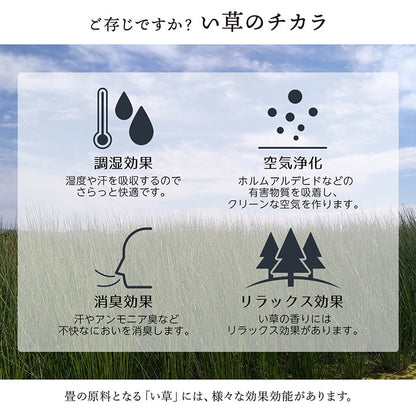 敷物 花ござ 国産 純国産 日本製 い草 掛川織 モダン 抗菌防臭 自然素材 江戸間8畳 約348×352cm 【メーカー直送商品】☆