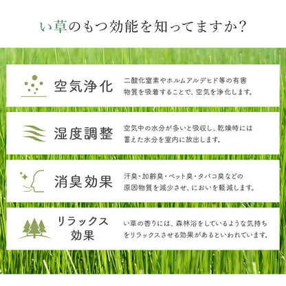 国産 い草玄関マット 袋織 デニム『Fラルフ』約60×90cm【メーカー直送商品】