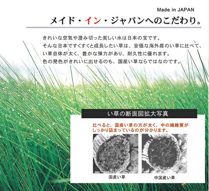 国産 い草玄関マット 袋織 デニム『Fラルフ』約60×90cm【メーカー直送商品】