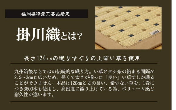 純国産 掛川織 い草カーペット 『スウィート』 江戸間2畳(約174×174cm) 【メーカー直送商品】☆