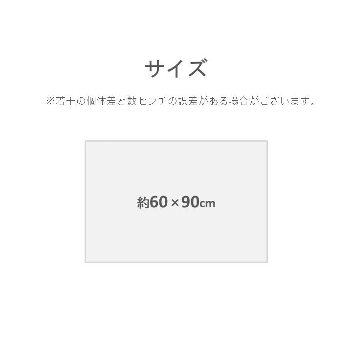 い草の玄関マット おしゃれ 和風 『Fバッキンガム』 約60×90cm 【メーカー直送商品】