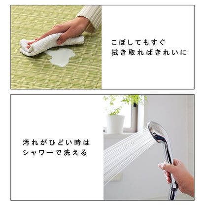 洗える カーペット ダイニング ラグ 敷詰 丈夫 日本製 国産 除菌スプレー対応 ござ アウトドア ペット 団地間10畳（約425×340cm） 【メーカー直送商品】☆