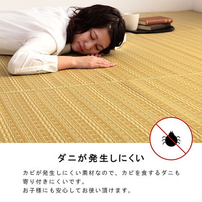 洗える カーペット ダイニング ラグ 敷詰 丈夫 日本製 国産 除菌スプレー対応 ござ アウトドア ペット 団地間10畳（約425×340cm） 【メーカー直送商品】☆