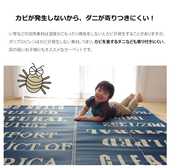 タイポグラフィ 洗えるポリプロピレンラグ 『トリド』 約174×174cm 【メーカー直送商品】☆