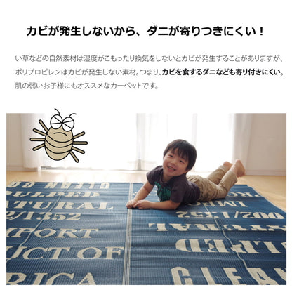 タイポグラフィ 洗えるポリプロピレンラグ 『トリド』 約174×174cm 【メーカー直送商品】☆