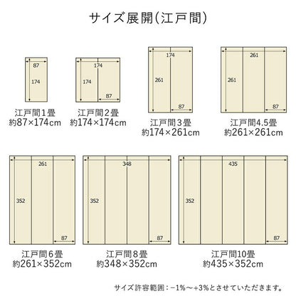 洗える ござ 日本製 国産 カーペット 丈夫 除菌スプレー対応 敷詰 ラグ 敷物 アウトドア レジャー ペット 本間4.5畳（約286.5×286cm） 【メーカー直送商品】☆