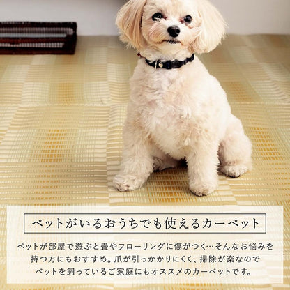 洗える ござ 日本製 国産 カーペット 丈夫 除菌スプレー対応 敷詰 ラグ 敷物 アウトドア レジャー ペット 江戸間1畳（約87×174cm） 【メーカー直送商品】☆