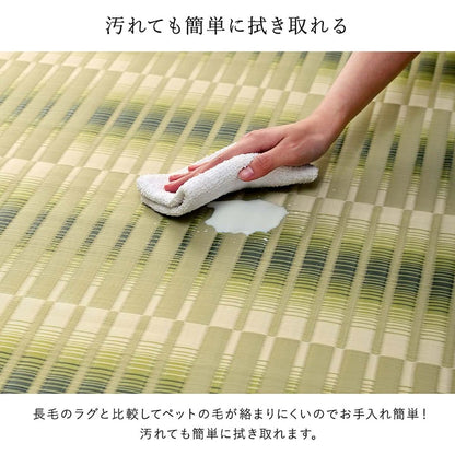 洗える ござ 日本製 国産 カーペット 丈夫 除菌スプレー対応 敷詰 ラグ 敷物 アウトドア レジャー ペット 江戸間1畳（約87×174cm） 【メーカー直送商品】☆