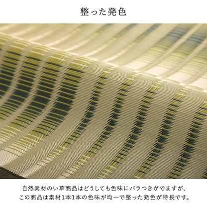 洗える ござ 日本製 国産 カーペット 丈夫 除菌スプレー対応 敷詰 ラグ 敷物 アウトドア レジャー ペット 江戸間1畳（約87×174cm） 【メーカー直送商品】☆