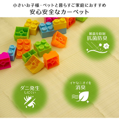 ラグ 洗える カーペット 日本製 国産 抗菌 防臭 消臭 アウトドア レジャー 敷物 和室 シンプル 江戸間4.5畳(約261×261cm) 【メーカー直送商品】☆