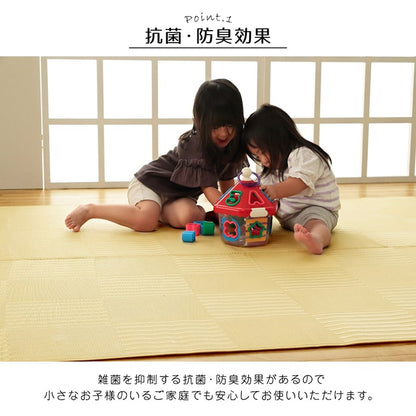 ラグ 洗える カーペット 日本製 国産 抗菌 防臭 消臭 アウトドア レジャー 敷物 和室 シンプル 江戸間10畳(約435×352cm) 【メーカー直送商品】☆