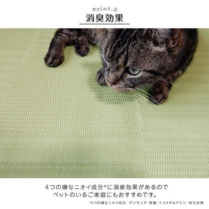 ラグ 洗える カーペット 日本製 国産 抗菌 防臭 消臭 アウトドア レジャー 敷物 和室 シンプル 江戸間10畳(約435×352cm) 【メーカー直送商品】☆