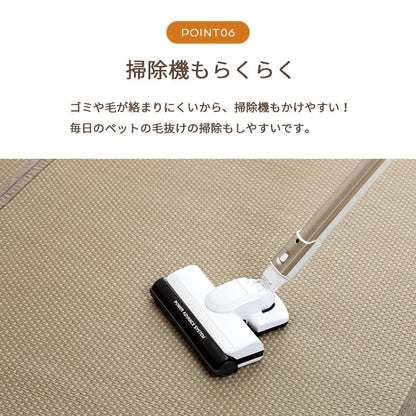 洗える ござ 日本製 国産 カーペット リバーシブル 丈夫 除菌スプレー対応 敷詰 ラグ 敷物 ペット 江戸間6畳（約261×352cm） 【メーカー直送商品】☆
