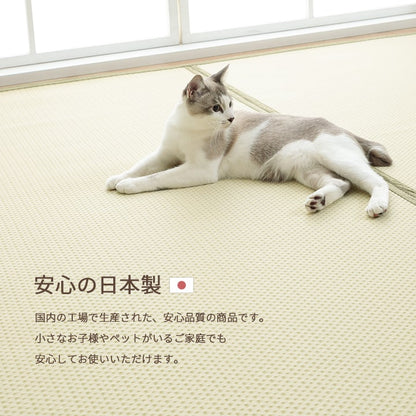 洗える ござ 日本製 国産 カーペット リバーシブル 丈夫 除菌スプレー対応 敷詰 ラグ 敷物 ペット 江戸間3畳（約174×261cm） 【メーカー直送商品】☆