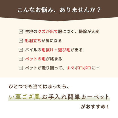 洗える ござ 日本製 国産 カーペット リバーシブル 丈夫 除菌スプレー対応 敷詰 ラグ 敷物 ペット 江戸間6畳（約261×352cm） 【メーカー直送商品】☆