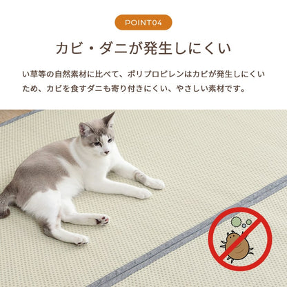 洗える ござ 日本製 国産 カーペット リバーシブル 丈夫 除菌スプレー対応 敷詰 ラグ 敷物 ペット 江戸間6畳（約261×352cm） 【メーカー直送商品】☆