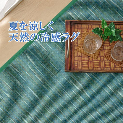 ラグ カーペット 無地 シンプル バンブー 竹 『DXフォース』 約190×250cm 【メーカー直送商品】☆