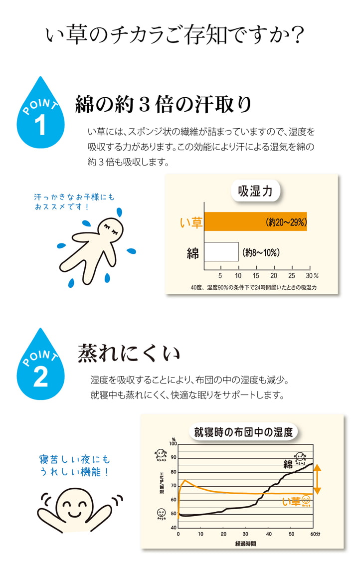 医師との共同開発 い草寝具 『アスク 汗取P』 シングル 約100×200cm