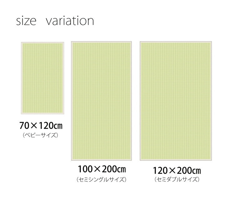 医師との共同開発 い草寝具 『アスク 汗取P』 シングル 約100×200cm