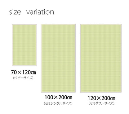 医師との共同開発 い草寝具 『アスク 汗取P』 セミダブル 約120×200cm