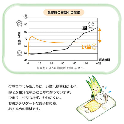 日本製 い草 い草マット お昼寝 マット 赤ちゃん 子供用 おひるね シンプル 星柄 約70×120cm 全2色【同梱不可】【メーカー直送商品】