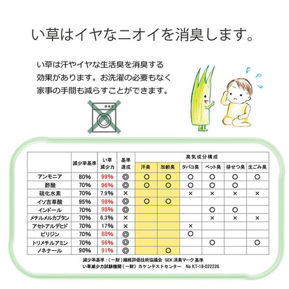 日本製 い草 い草マット お昼寝 マット 赤ちゃん 子供用 おひるね シンプル 星柄 約70×120cm 全2色【同梱不可】【メーカー直送商品】