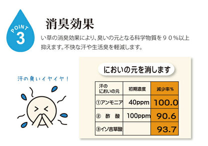 お父さん指定席 お昼寝マット い草ごろ寝フリーマット 畳 おやじの場所 大和 固わた40mm入り 約70×150cm 父の日ギフト プレゼント 寝具 敷布団 マットレス【メーカー直送商品】