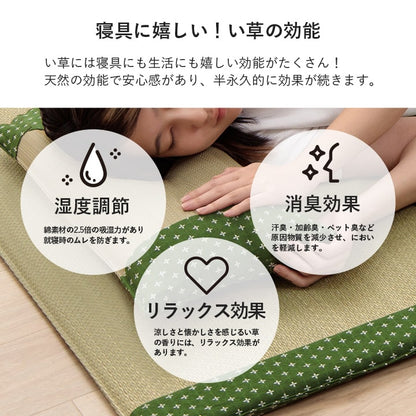 枕 平枕 い草 50×30cm【メーカー直送商品】