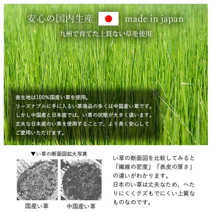 枕 平枕 い草 50×30cm【メーカー直送商品】
