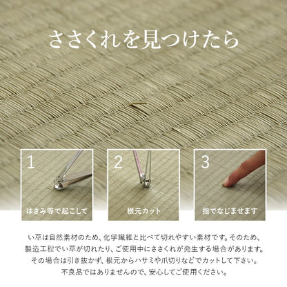い草の 敷パッド 『ラーデ』 シングル 約80×180×0.2cm 【メーカー直送商品】