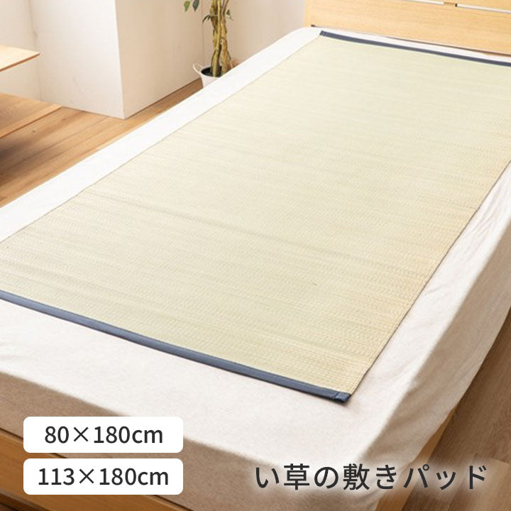 い草 敷パッド 『スマート』 シングル セミダブル 【メーカー直送商品】