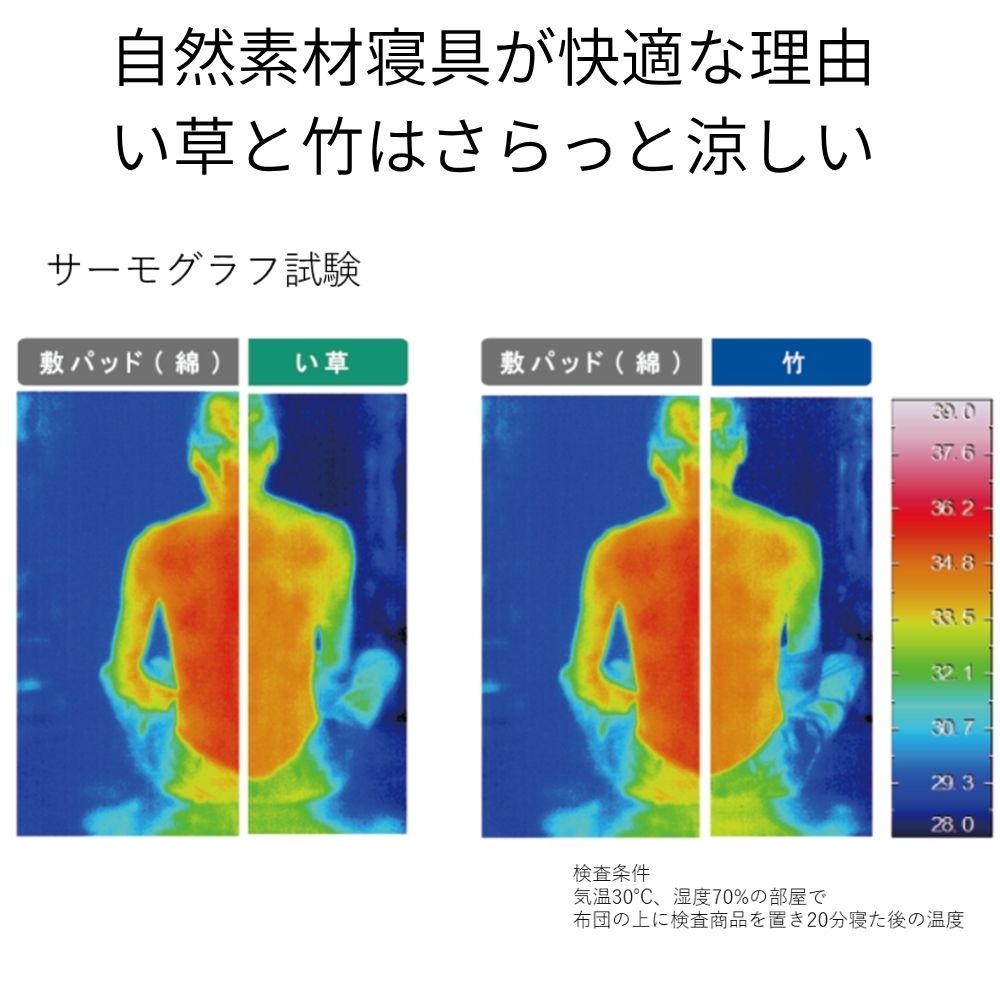 い草 敷パッド 『スマート』 シングル 約80×180×0.2cm 【メーカー直送商品】