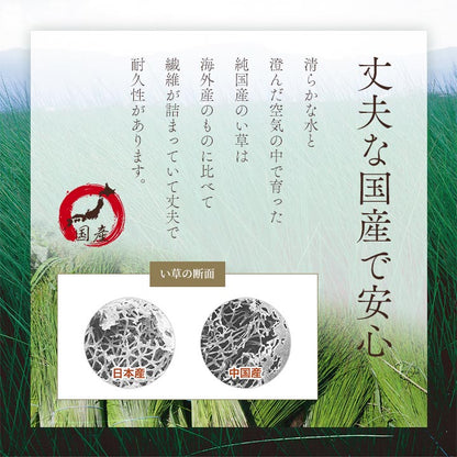 座布団 い草座布団 日本製 抗菌防臭 消臭 湿度調整 蒸れにくい 涼しい モダン 無地 5枚組 55×55cm 【メーカー直送商品】☆