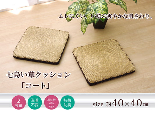 クッション 七島クッション 七島藺草 シート 『コート マチ付』 約40×40cm 2枚組 【メーカー直送商品】☆