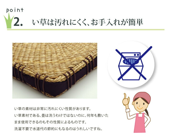 クッション 七島クッション 七島藺草 シート 『コート マチ付』 約40×40cm 2枚組 【メーカー直送商品】☆