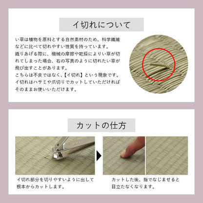 クッション 大フィット 腰当 い草 チェック柄 調湿 空気清浄 お手入れ簡単 約40×30×12cm 【メーカー直送商品】☆