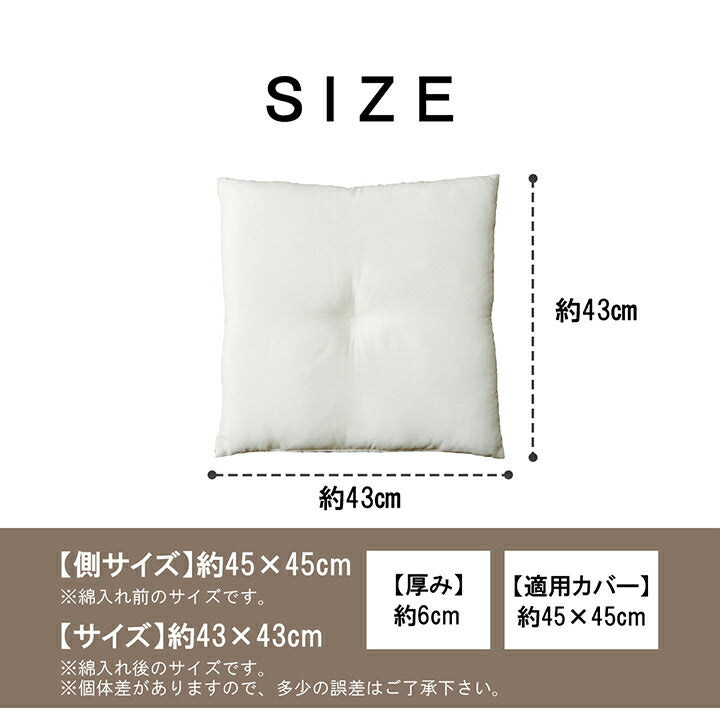 ヌードクッション 国産 日本製 洗える シート 椅子用 約45×45cm 2枚組 【メーカー直送商品】☆