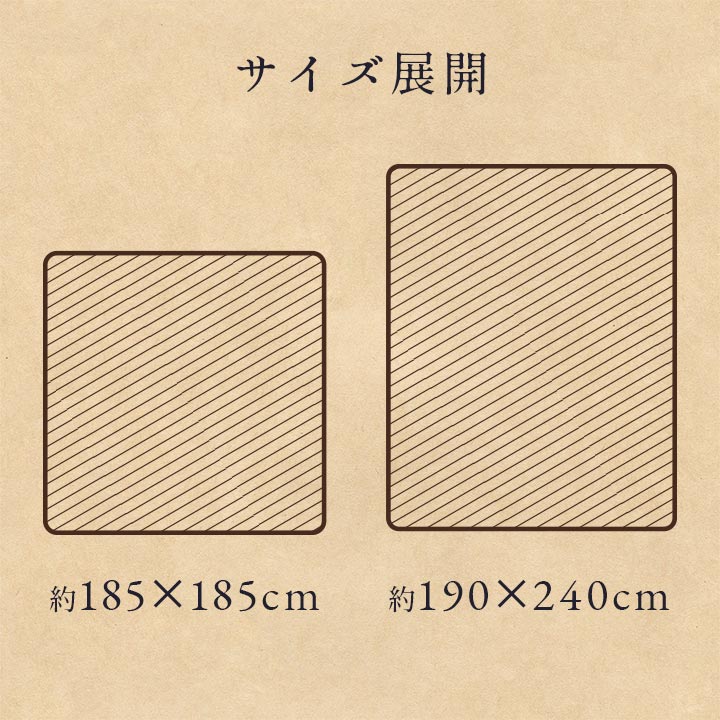 ラグ 洗える 正方形 こたつ敷 チェック 額縁調 約2畳 約185×185cm 床暖房 ホットカーペット対応 【メーカー直送商品】☆