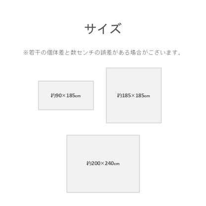 カーペット・マット・ラグ 『サイディ』 約200×240cm 【メーカー直送商品】