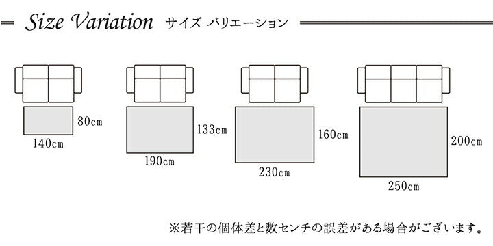 カーペット ラグ マット トルコ ウィルトン 織り カービング  約80×140cm 抗菌防臭 消臭 へたりにくい エレガント 【メーカー直送商品】☆